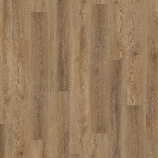 DRY CINNAMON DRYBACK 2mm