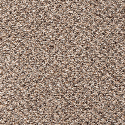 STAINFREE TWEED
