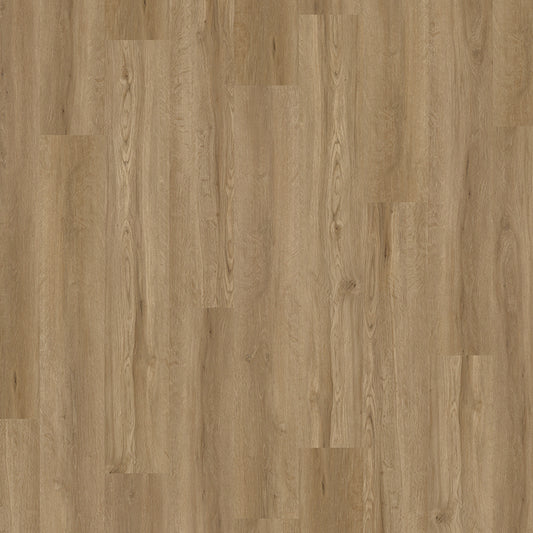 DRY MAPLE DRYBACK 2.5mm